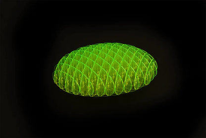 Morf Wormz™ -  Finding focus & Relieving anxiety